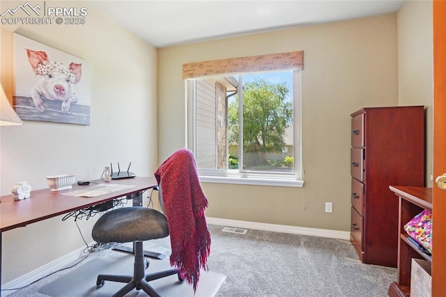 392 Pyrite Ter, Colorado Springs, CO 80905 - carpeted office with baseboards