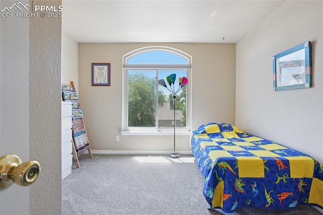 392 Pyrite Ter, Colorado Springs, CO 80905 - carpeted bedroom with baseboards