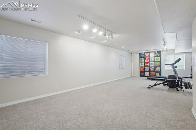 392 Pyrite Ter, Colorado Springs, CO 80905 - exercise room with rail lighting and carpet