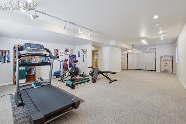 392 Pyrite Ter, Colorado Springs, CO 80905 - workout area with carpet floors and track lighting
