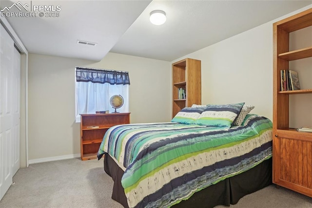 392 Pyrite Ter, Colorado Springs, CO 80905 - bedroom featuring light colored carpet and a closet