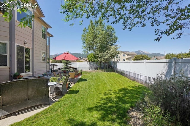 392 Pyrite Ter, Colorado Springs, CO 80905 - view of fenced backyard