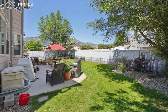 392 Pyrite Ter, Colorado Springs, CO 80905 - fenced backyard with a mountain view and a patio
