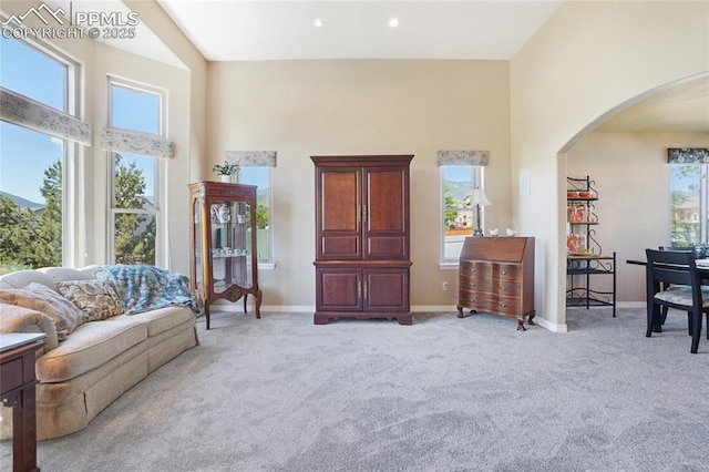392 Pyrite Ter, Colorado Springs, CO 80905 - living area with arched walkways, a high ceiling, plenty of natural light, carpet, and recessed lighting