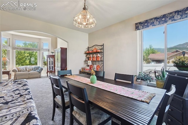 392 Pyrite Ter, Colorado Springs, CO 80905 - dining area featuring arched walkways, a chandelier, plenty of natural light, and carpet