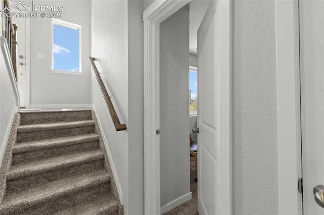 2481 Horsemanship Ct, Colorado Springs, CO 80922 - stairway with a textured wall and plenty of natural light