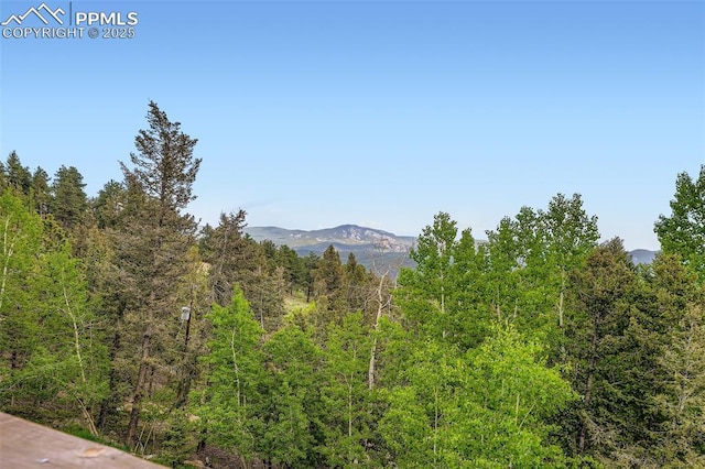 1527 S Pine Dr, Bailey, CO 80421 - mountain view with a heavily wooded area