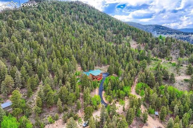 1527 S Pine Dr, Bailey, CO 80421 - bird's eye view of a forest and a mountain backdrop