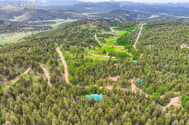 1527 S Pine Dr, Bailey, CO 80421 - aerial overview of property's location with mountains