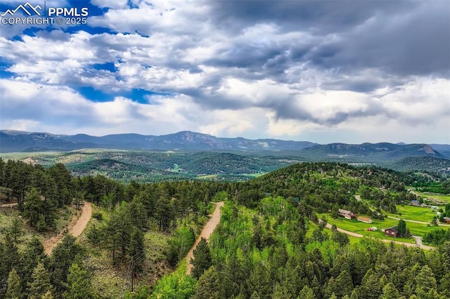 1527 S Pine Dr, Bailey, CO 80421 - mountain view featuring a forest