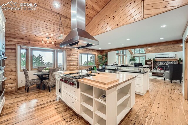 1527 S Pine Dr, Bailey, CO 80421 - kitchen featuring open shelves, wood counters, island exhaust hood, stainless steel appliances, and white cabinetry
