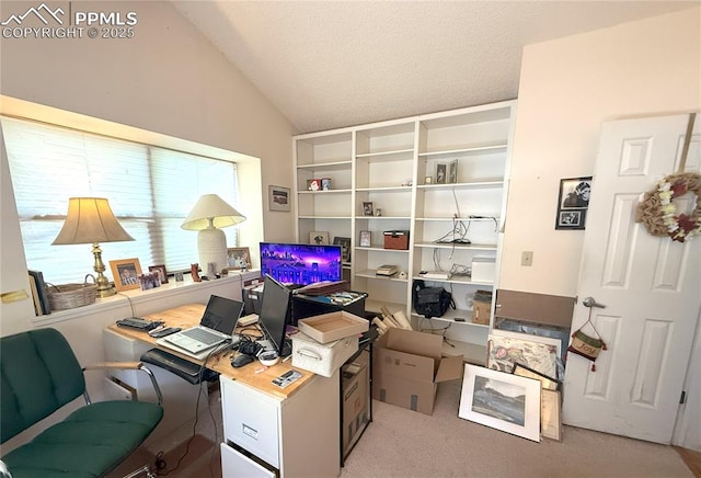 945 Marlstone Pl, Colorado Springs, CO 80904 - office area featuring lofted ceiling and carpet