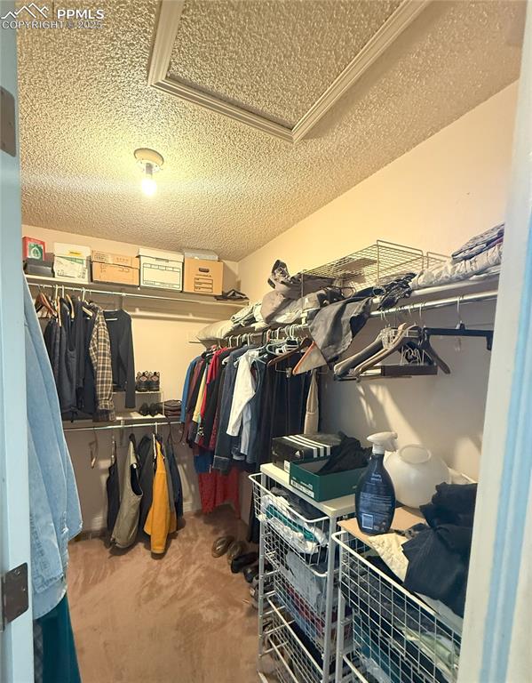 945 Marlstone Pl, Colorado Springs, CO 80904 - walk in closet featuring carpet