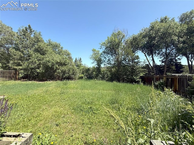 945 Marlstone Pl, Colorado Springs, CO 80904 - view of yard