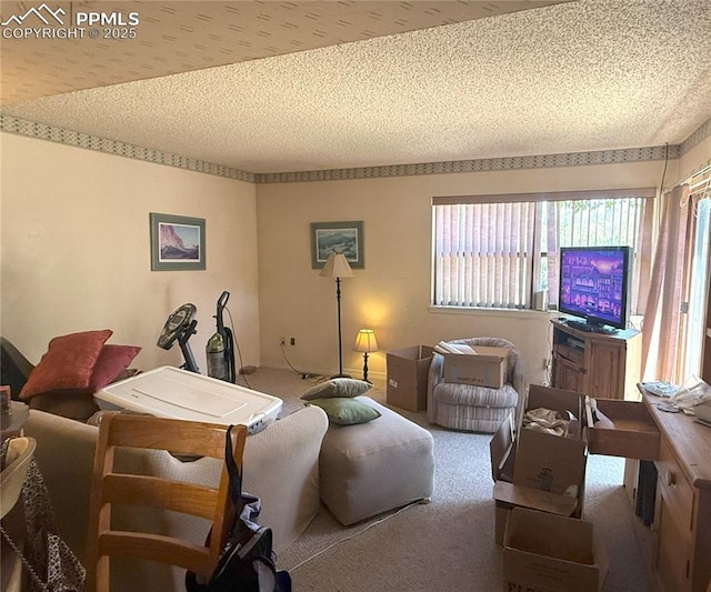 945 Marlstone Pl, Colorado Springs, CO 80904 - living room with carpet floors and a textured ceiling