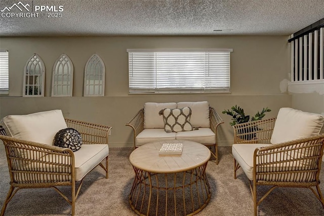 4110 Undimmed Cir, Colorado Springs, CO 80917 - living area with a textured ceiling and carpet