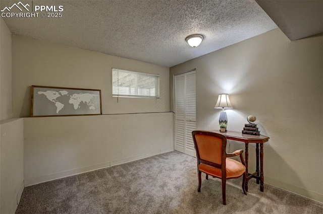 4110 Undimmed Cir, Colorado Springs, CO 80917 - home office featuring carpet floors and a textured ceiling