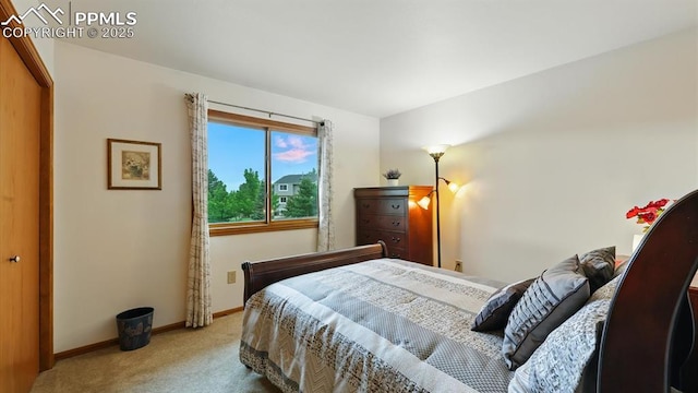 440 Torrey Pines Way, Colorado Springs, CO 80921 - carpeted bedroom featuring baseboards