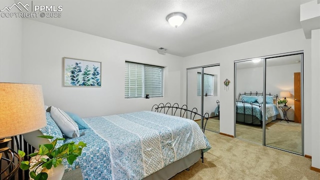 440 Torrey Pines Way, Colorado Springs, CO 80921 - carpeted bedroom with two closets and baseboards