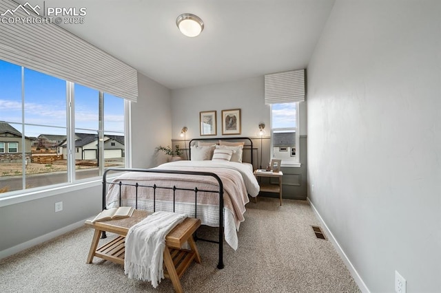 9996 Antelope Ravine Dr, Colorado Springs, CO 80908 - bedroom featuring carpet floors