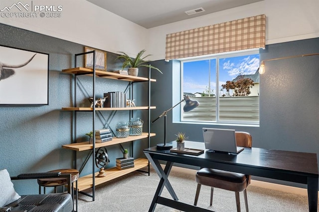 9996 Antelope Ravine Dr, Colorado Springs, CO 80908 - view of carpeted office
