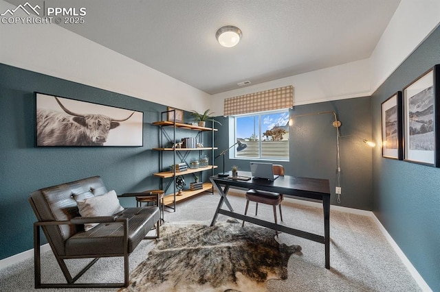 9996 Antelope Ravine Dr, Colorado Springs, CO 80908 - carpeted home office with baseboards and a textured wall