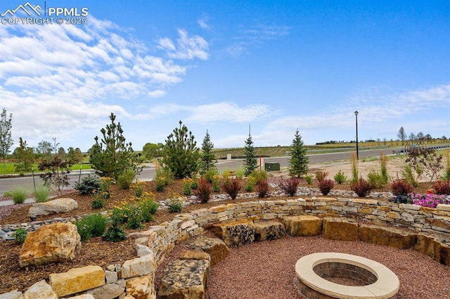 9996 Antelope Ravine Dr, Colorado Springs, CO 80908 - view of yard