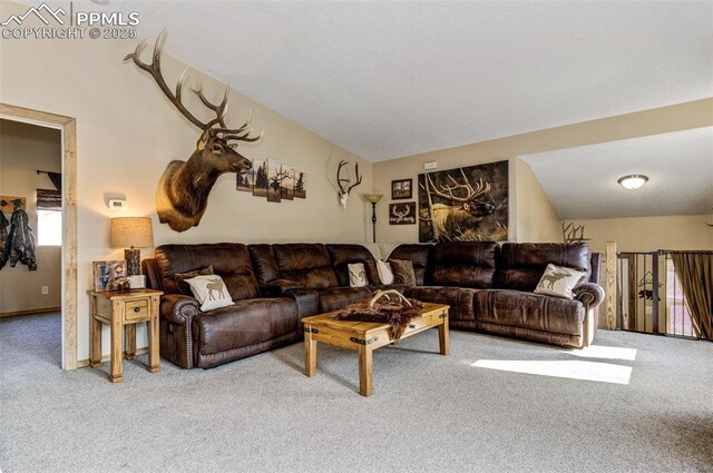 601 Harvest Field Way, Fountain, CO 80817 - view of carpeted living area