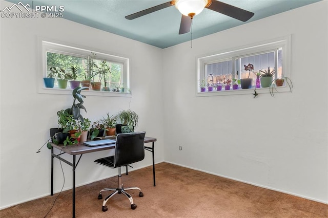 8991 Hickory Pl, Thornton, CO 80229 - office space featuring carpet floors and a ceiling fan