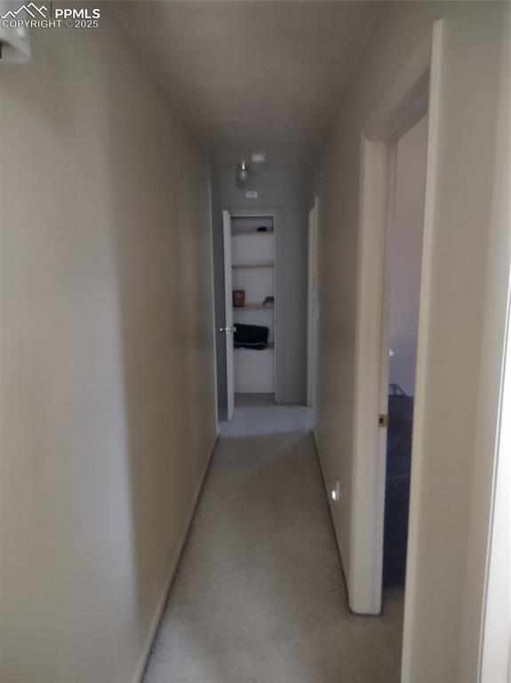 423 Ridge Rd, Divide, CO 80814 - corridor with baseboards and light carpet