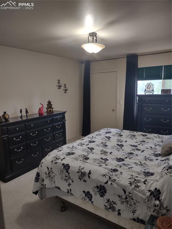 423 Ridge Rd, Divide, CO 80814 - bedroom with carpet