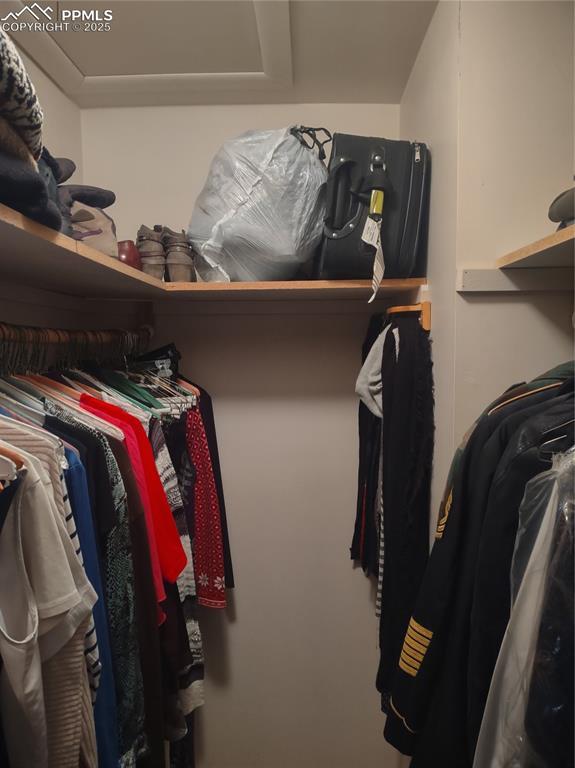 423 Ridge Rd, Divide, CO 80814 - view of spacious closet