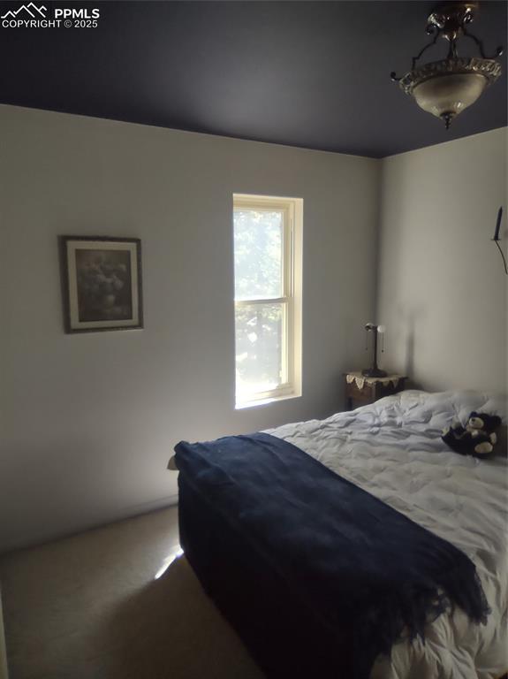 423 Ridge Rd, Divide, CO 80814 - view of carpeted bedroom