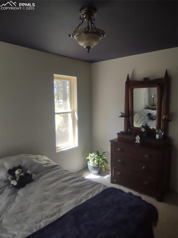423 Ridge Rd, Divide, CO 80814 - view of bedroom