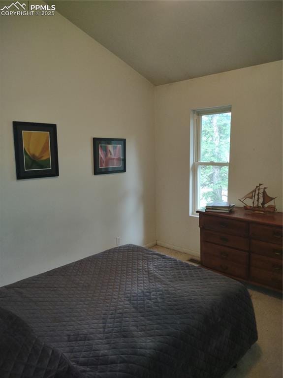 423 Ridge Rd, Divide, CO 80814 - bedroom featuring carpet flooring and vaulted ceiling