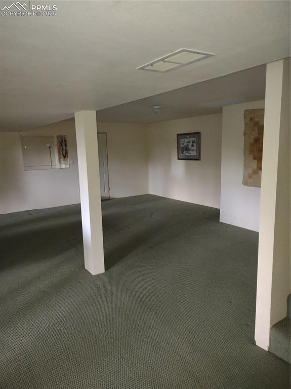 423 Ridge Rd, Divide, CO 80814 - finished basement featuring carpet