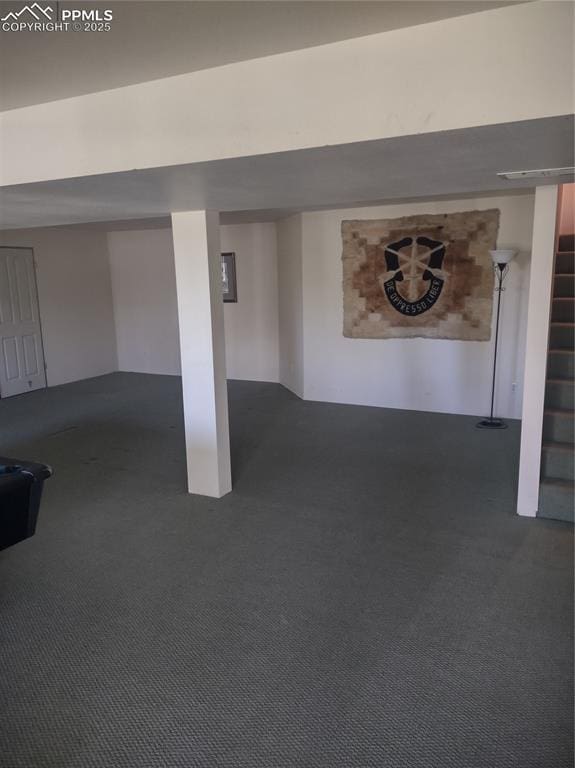 423 Ridge Rd, Divide, CO 80814 - finished below grade area featuring dark carpet