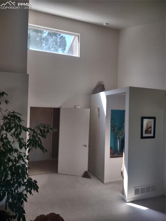 423 Ridge Rd, Divide, CO 80814 - view of carpeted foyer