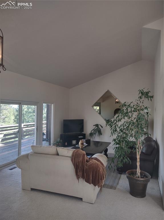 423 Ridge Rd, Divide, CO 80814 - living area with vaulted ceiling and carpet floors
