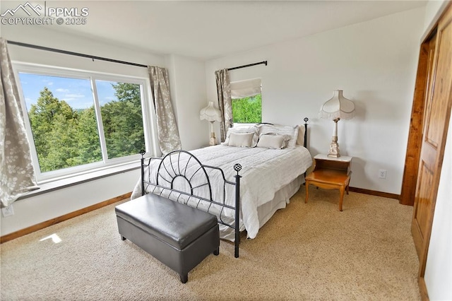 1522 Monarch Dr, Cripple Creek, CO 80813 - bedroom featuring light carpet