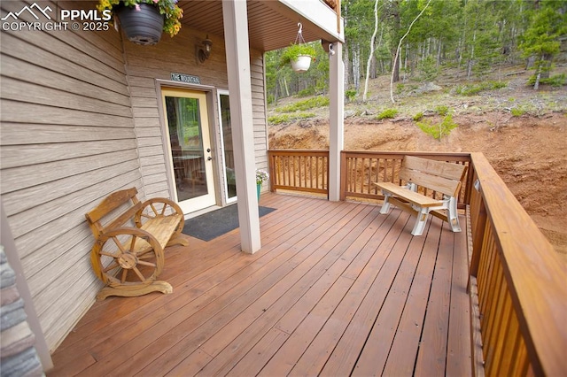 1522 Monarch Dr, Cripple Creek, CO 80813 - view of wooden terrace