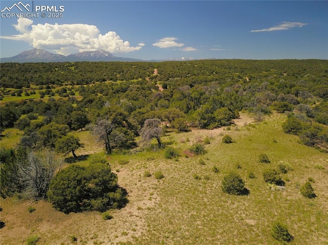 Williams Rd, Walsenburg, CO 81089