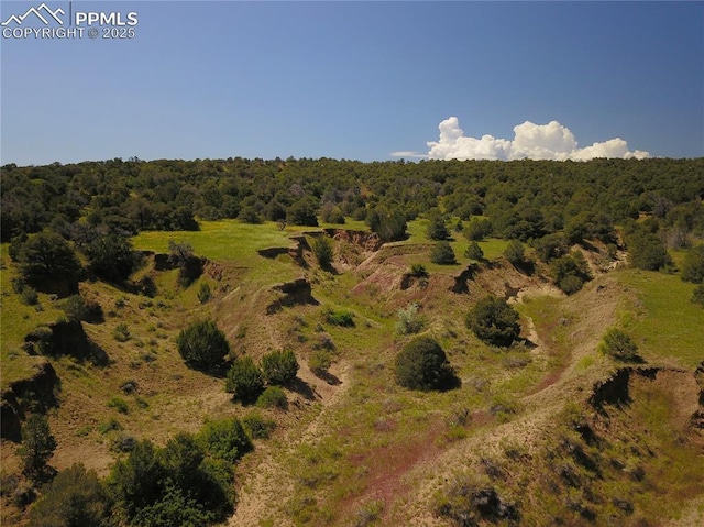 Williams Rd, Walsenburg, CO 81089