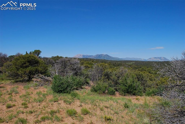 Williams Rd, Walsenburg, CO 81089