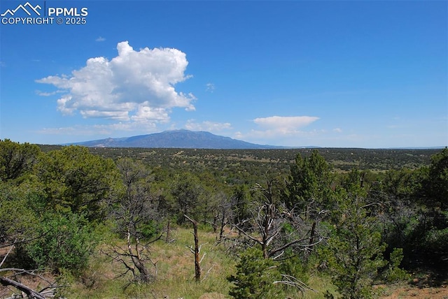 Williams Rd, Walsenburg, CO 81089