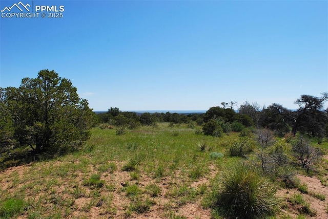 Williams Rd, Walsenburg, CO 81089