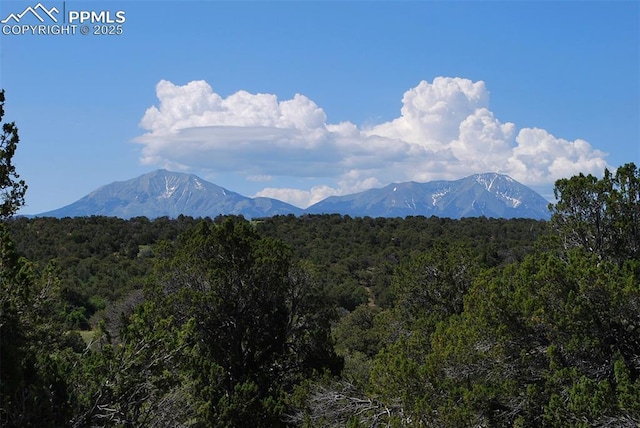 Williams Rd, Walsenburg, CO 81089