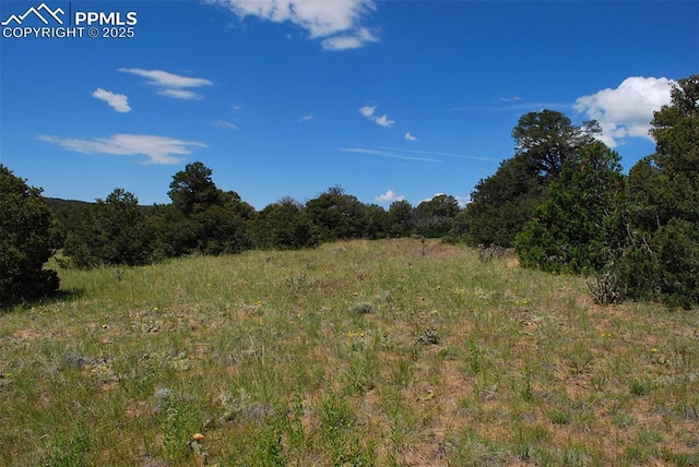 Williams Rd, Walsenburg, CO 81089