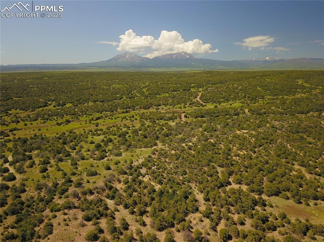 Williams Rd, Walsenburg, CO 81089