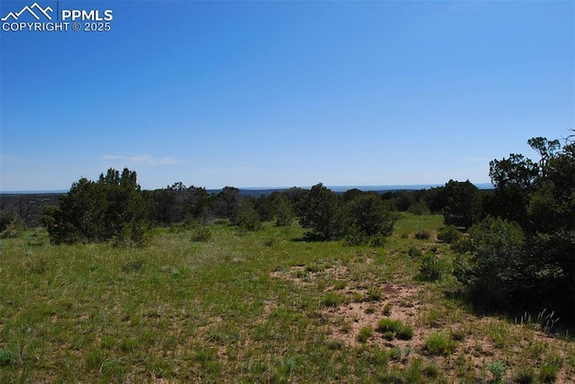 Williams Rd, Walsenburg, CO 81089